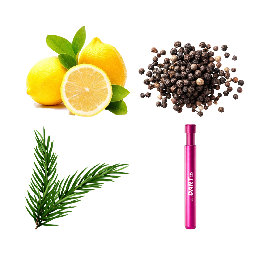 Terpene Guide: Warum Cannabis nach Zitrone oder Pinie duftet.